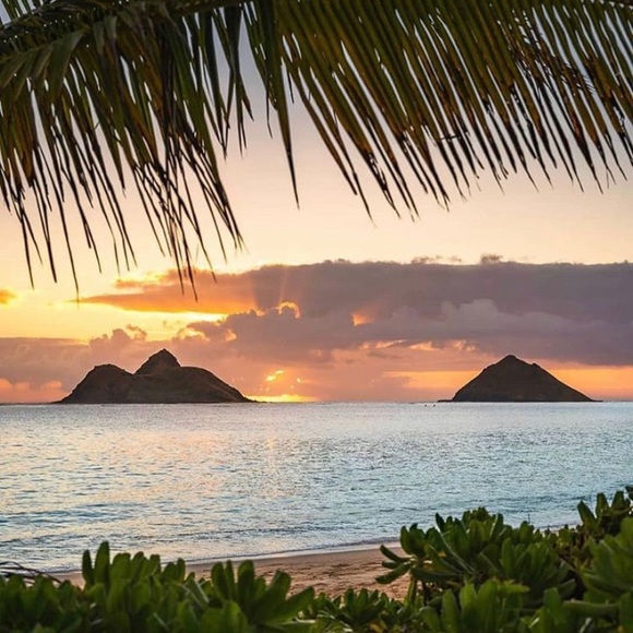 Meet your Posher, Jo - Picture 3 of 7